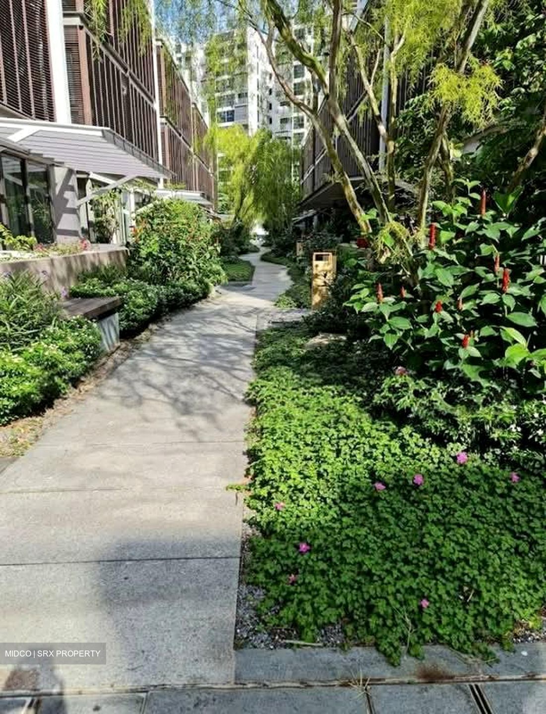 The Woods (D22), Semi-Detached #526286751